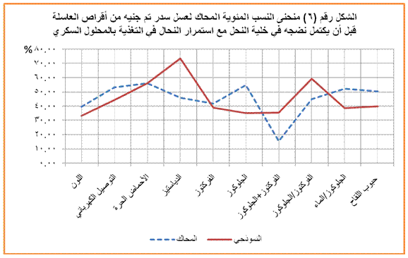 تربية النحل نحلة