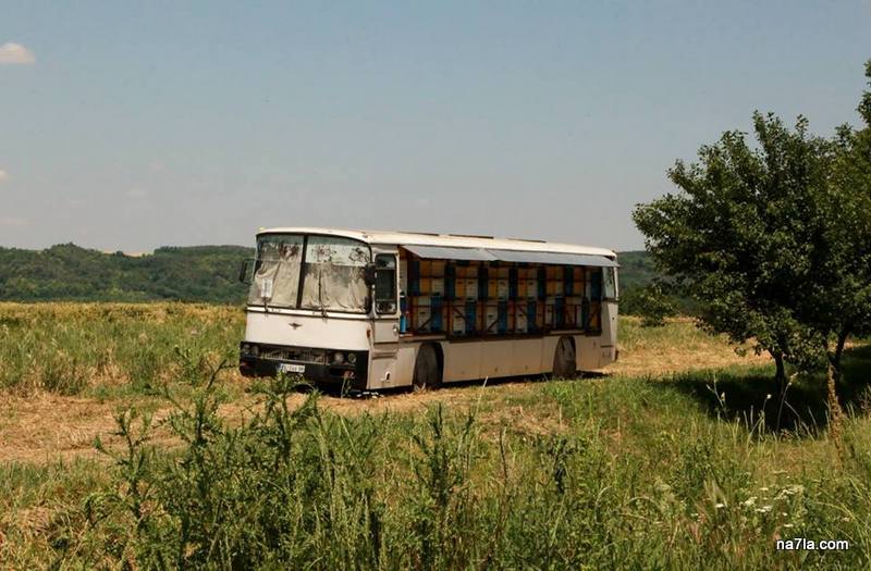 mobile apiary