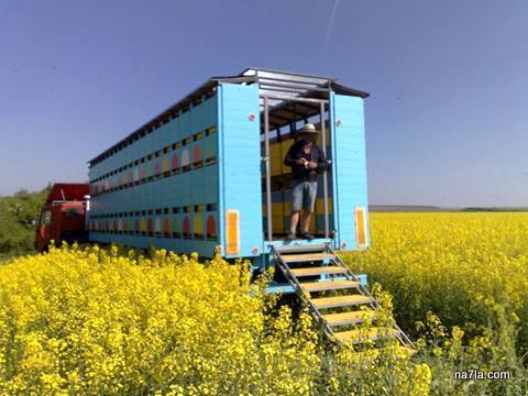 mobile apiary