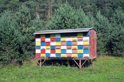 mobile apiary